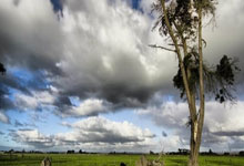 女排四强赛程是如何安排的？这些看点别错过！