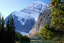 2018年世界杯巴西队战绩如何？他们的表现有哪些亮点与遗憾？