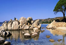 卡塔尔对阵伊朗，这场比赛的看点和胜负走向会如何？